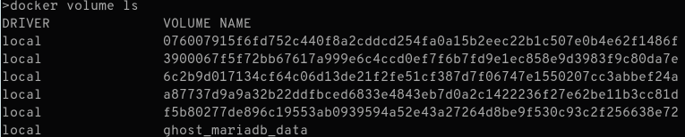 docker volume ls output